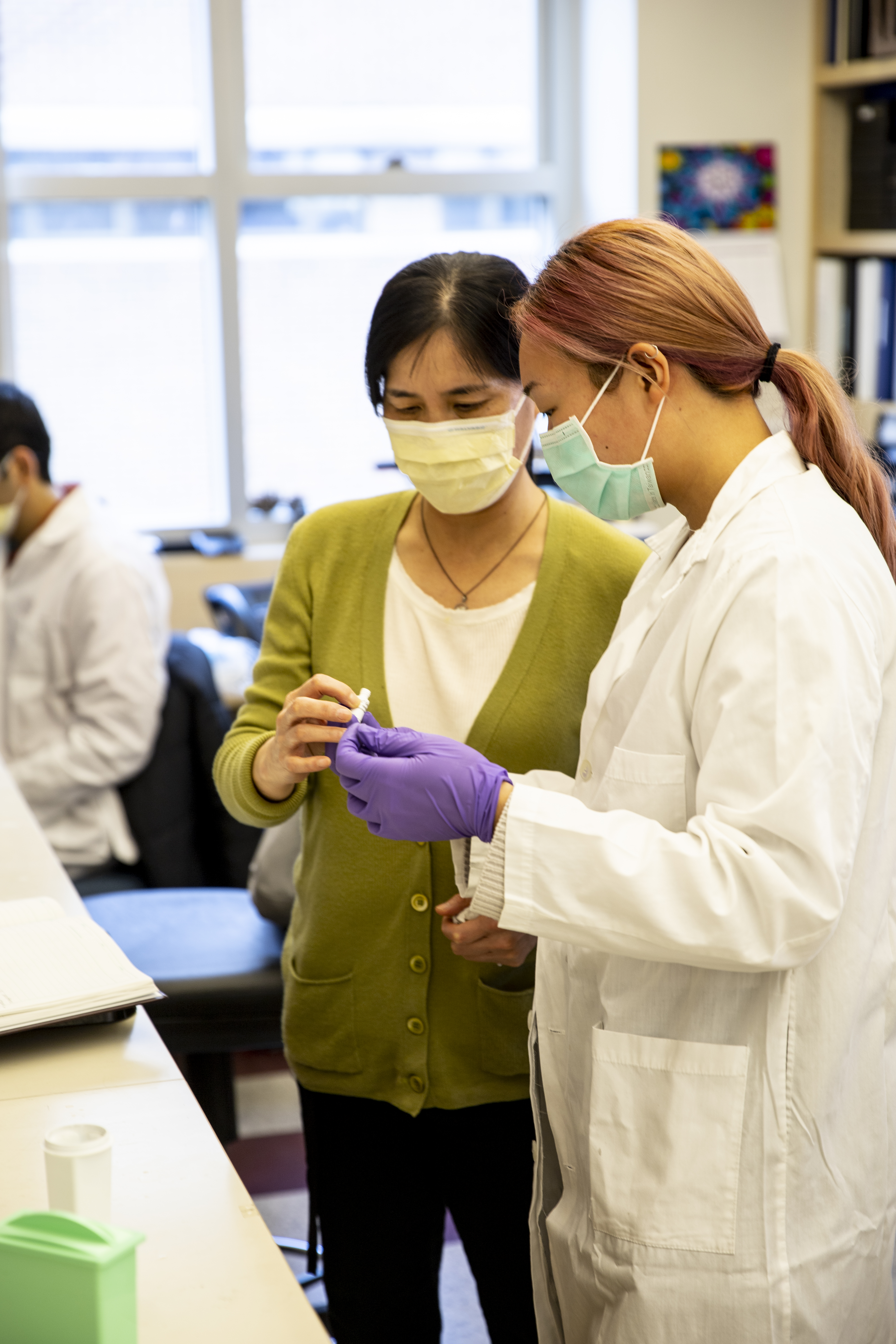 Fluorescence microscopy showing immune cells within a tumor