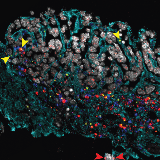 TIME Lab researchers collaborating at the bench